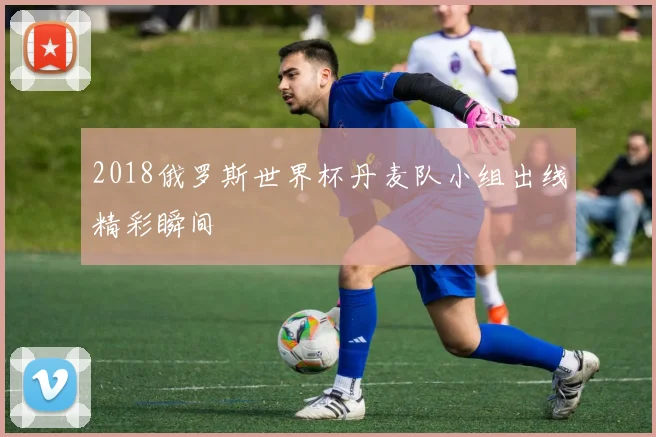 2018俄罗斯世界杯丹麦队小组出线精彩瞬间