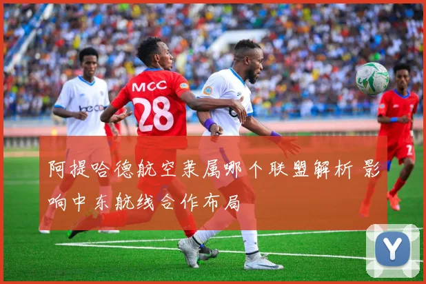 阿提哈德航空隶属哪个联盟解析 影响中东航线合作布局