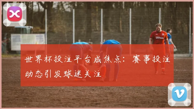 世界杯投注平台成焦点：赛事投注动态引发球迷关注