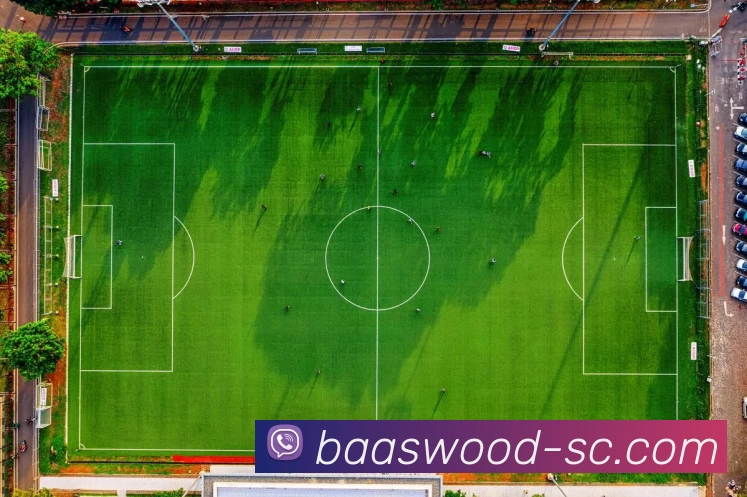 多媒体互动体验