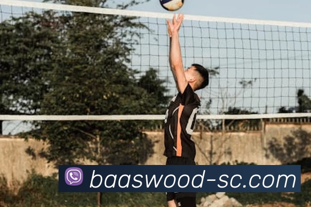 开云app官方在线入口 - 开云kaiyun(中国)APP 高清赛事图